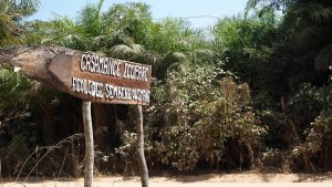 Lire la suite à propos de l’article Casamance Ecoparc